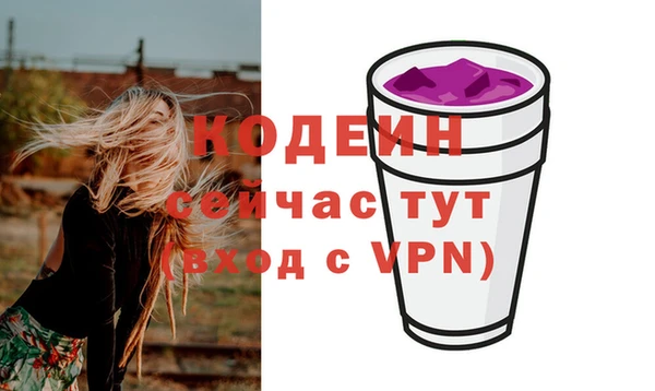 дурь Арсеньев