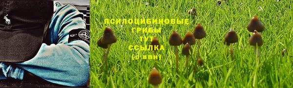 дурь Арсеньев